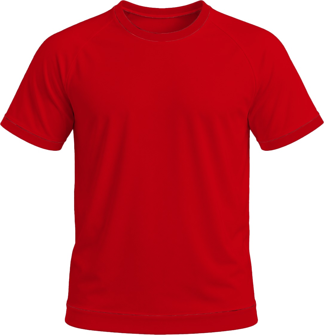 +27 Ladies Crew Neck T-shirt, Raglan Short Sleeve, Birdseye