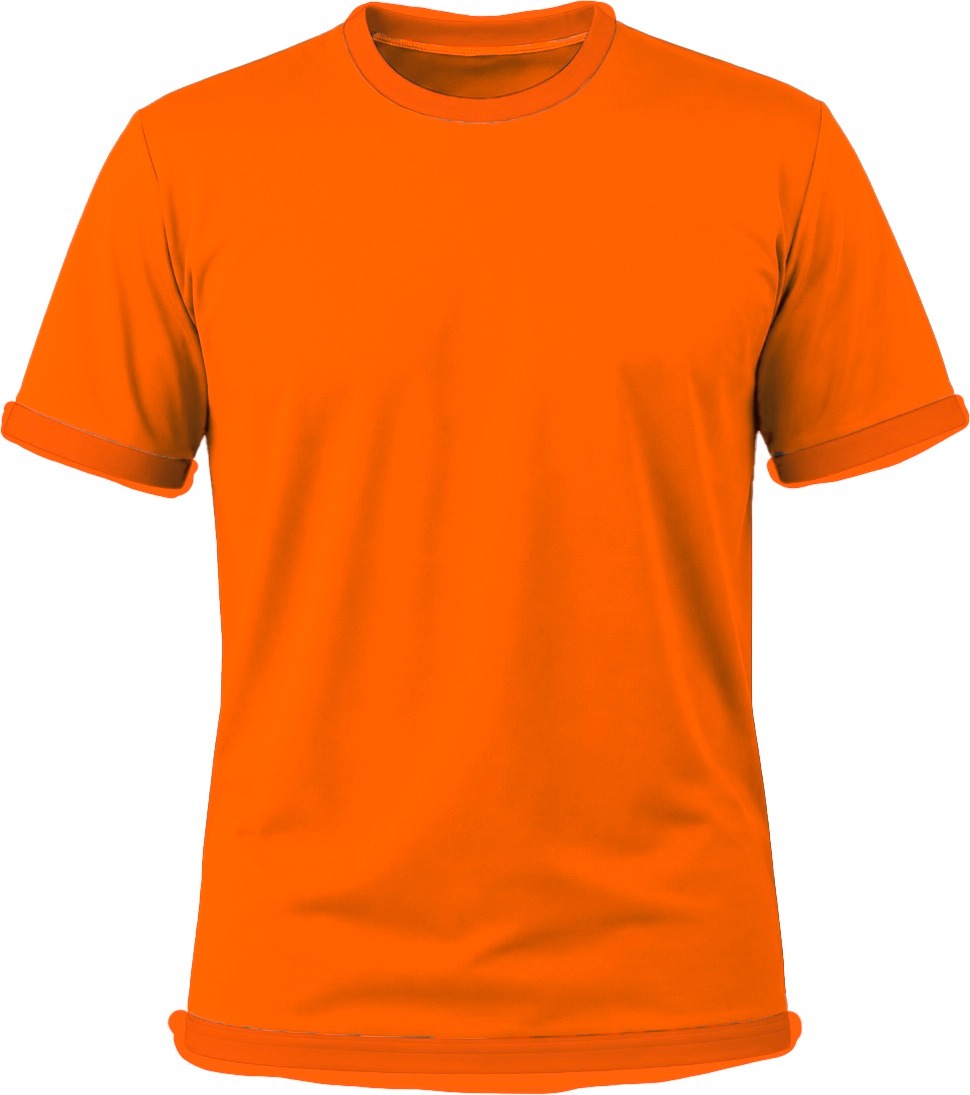 +27 Ladies Crew Neck T-shirt, Fitted Short Sleeve, Birdseye