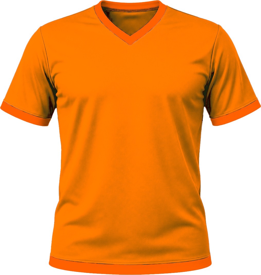 Ringer Unisex V-Neck T-shirt, Fitted Short Sleeve, Birdseye
